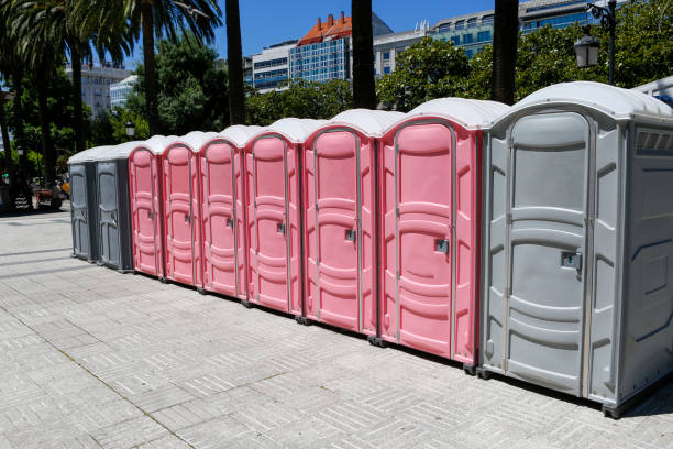 Types of Portable Toilets We Offer in Petal, MS